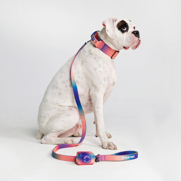 Tactical Dog Collar Set - Kaleidoscope (2"/5cm)