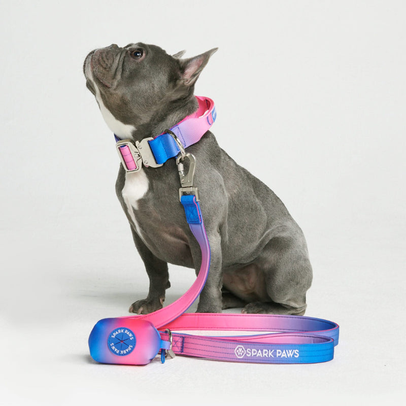 戦術的な犬用首輪セット - スノーコーン (1.5"/4cm)