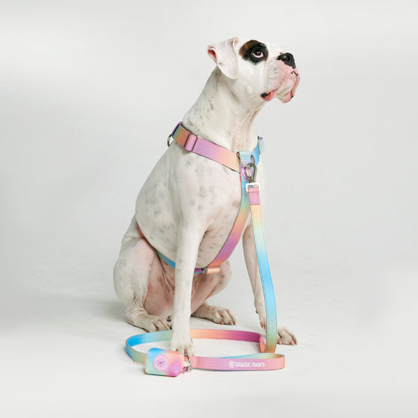 Set di imbracatura per cani Comfort Control No-Pull - Glassa pastello
