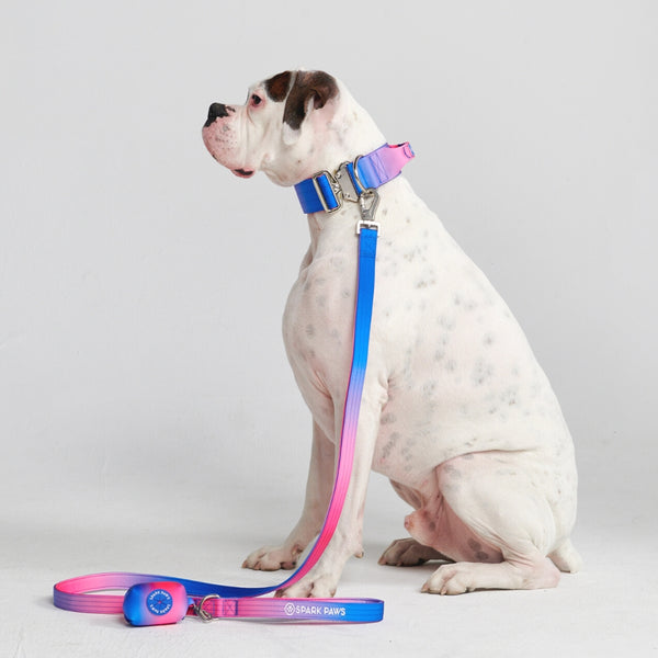 戦術的な犬用首輪セット - スノーコーン