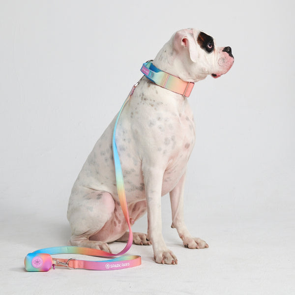 Set di collari tattici per cani - Glassa pastello