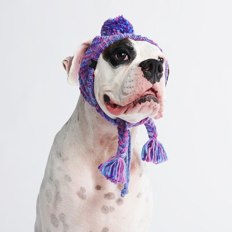 Gorro Beanie Knit Pom Pom Dog - Púrpura y Lavanda