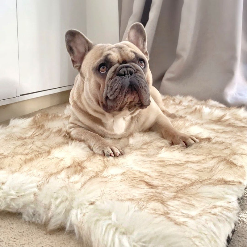 Faux Fur Memory Foam Rug Dog Bed