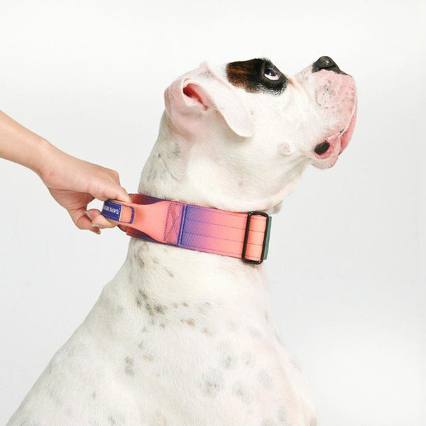 Collar táctico para perros - Caleidoscopio (2"/5cm)