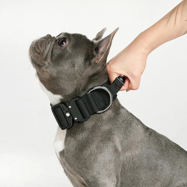 戦術的な犬用首輪 - ブラック (1.5"/4cm)