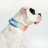 Taktisches Halsband für große Hunde - Pastellglasur