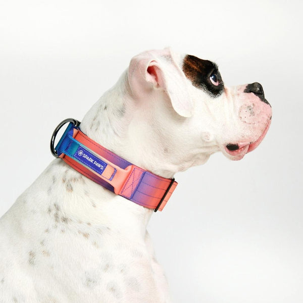 Tactical Dog Collar - Kaleidoscope